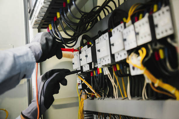 Best Electrical Panel Upgrades  in Pittsville, MD